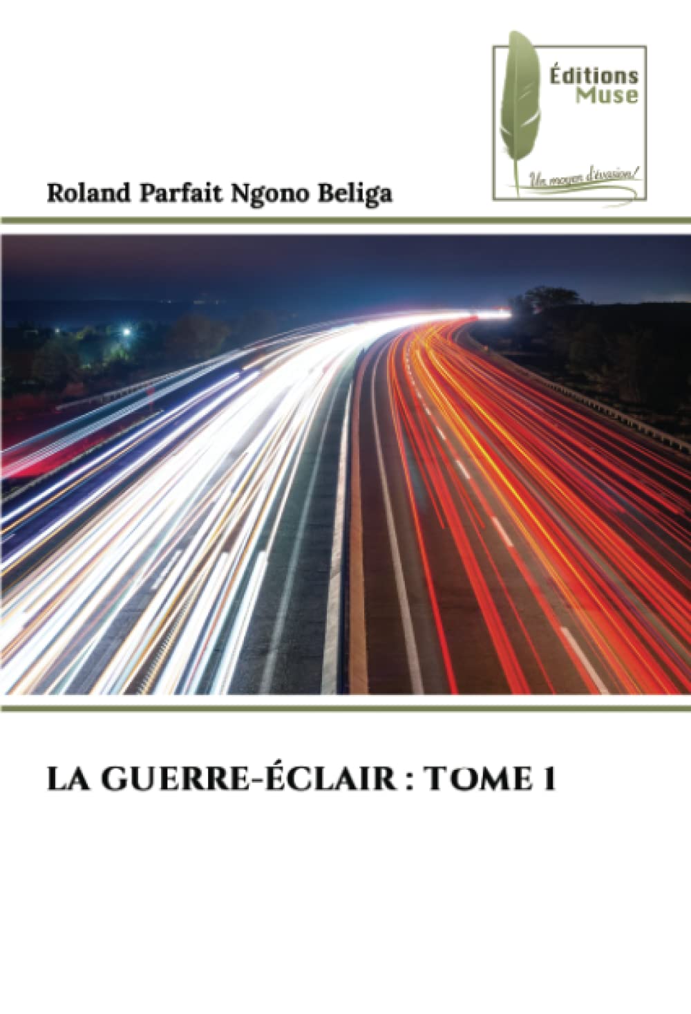 LA GUERRE-ÉCLAIR : TOME 1 book