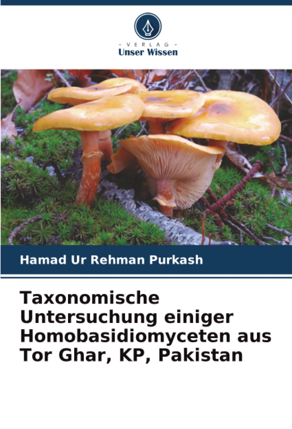 Taxonomische Untersuchung einiger Homobasidiomyceten aus Tor Ghar, KP, Pakistan Natural Sciences