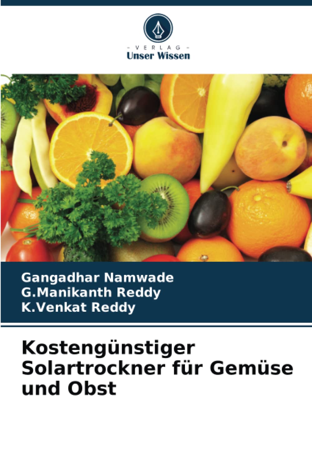 Kostengünstiger Solartrockner für Gemüse und Obst: DE Media & Communication