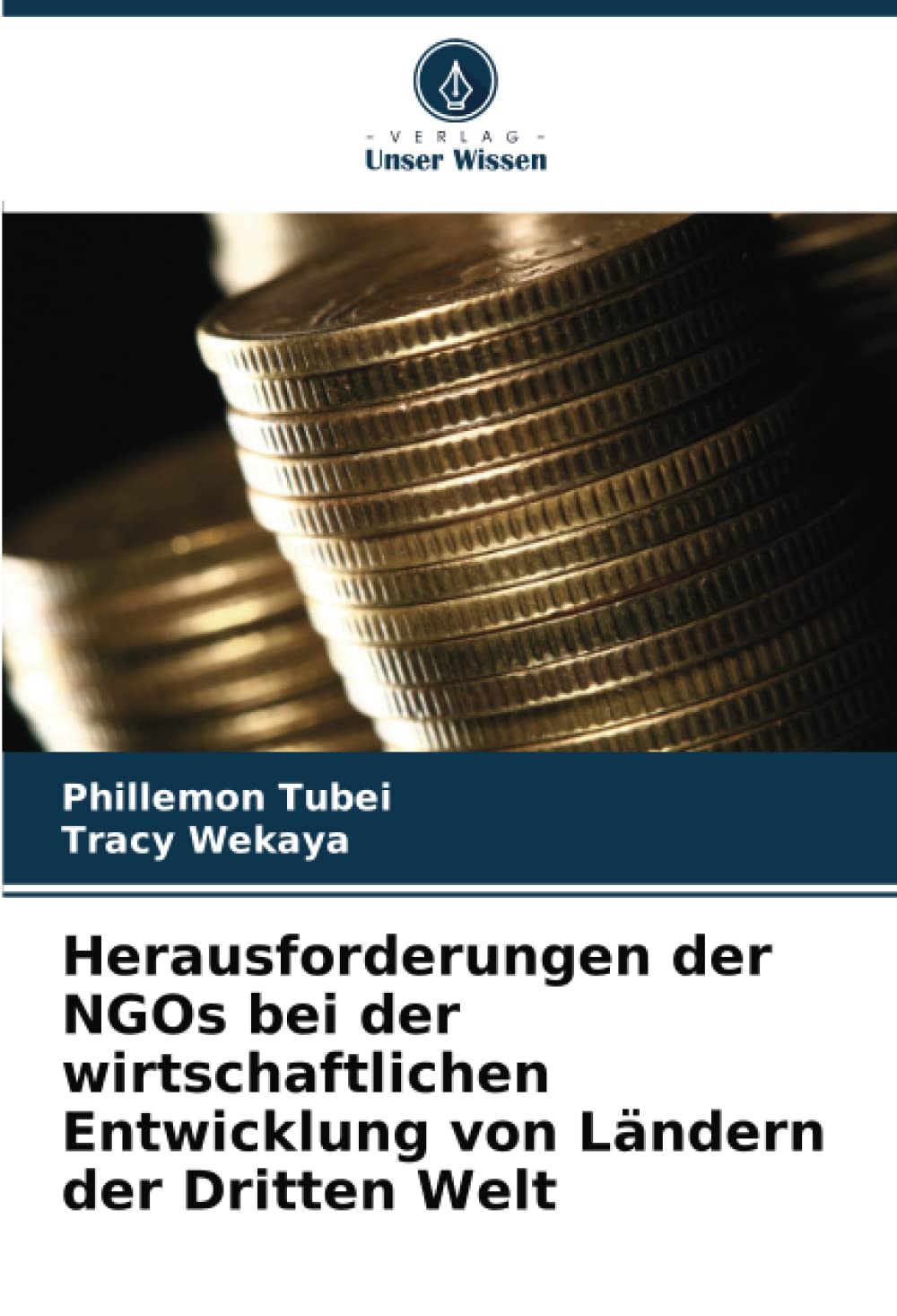 Herausforderungen der NGOs bei der wirtschaftlichen Entwicklung von Ländern der Dritten Welt Law