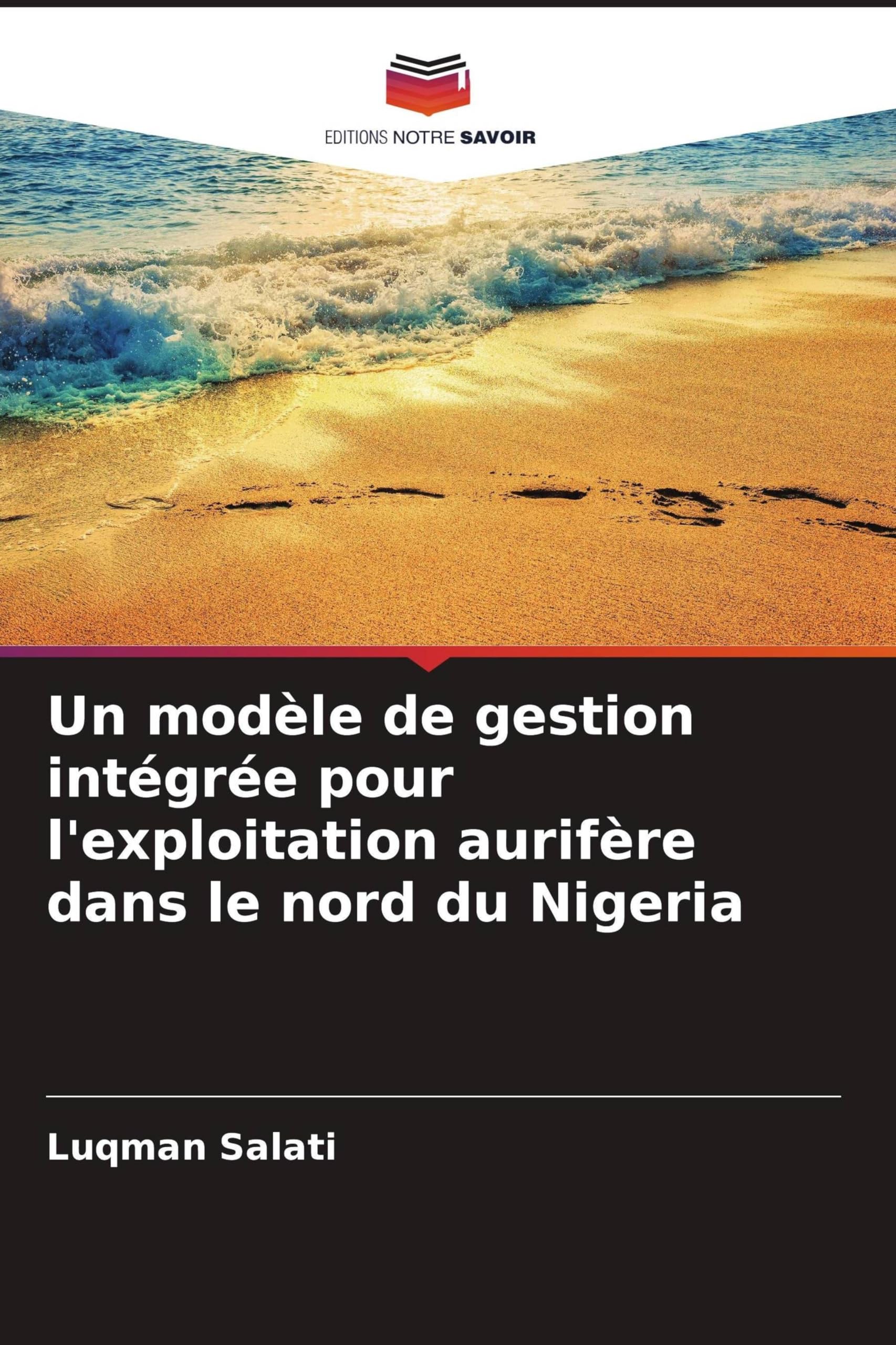 Un modèle de gestion intégrée pour l'exploitation aurifère dans le nord du Nigeria Law