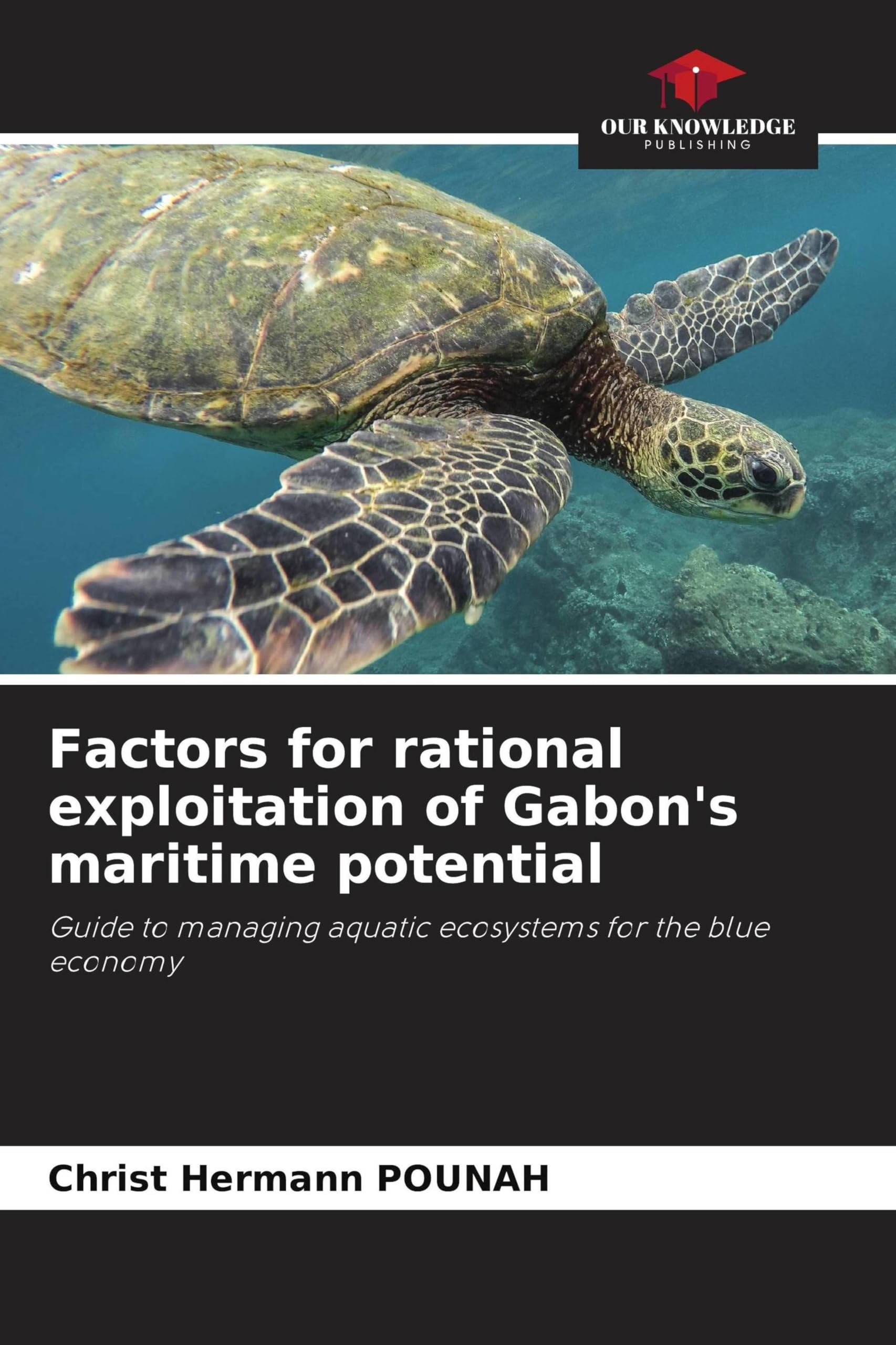 Factors for rational exploitation of Gabon's maritime potential Law
