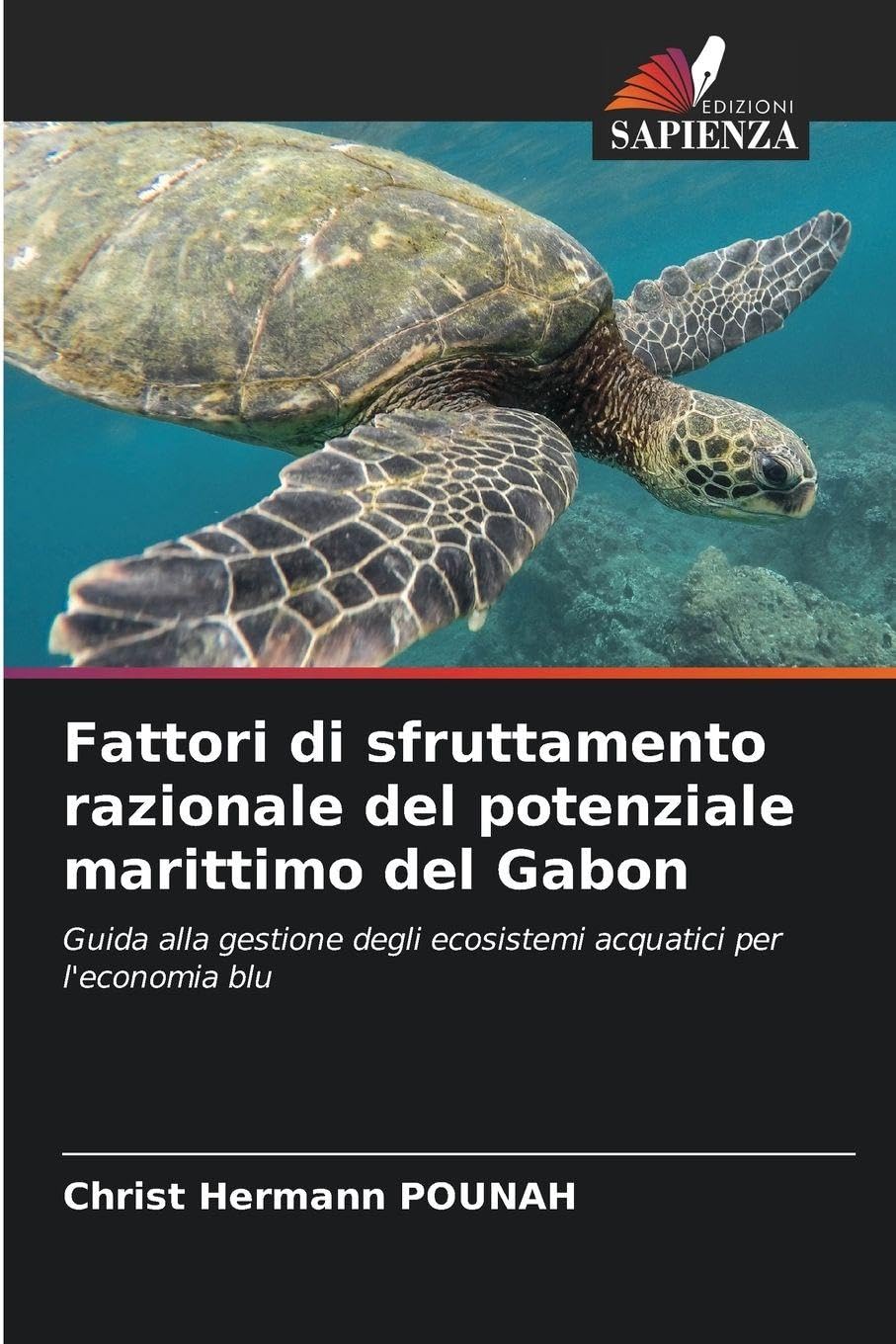 Fattori di sfruttamento razionale del potenziale marittimo del Gabon Law
