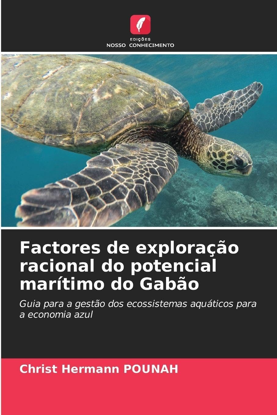 Factores de exploração racional do potencial marítimo do Gabão Law