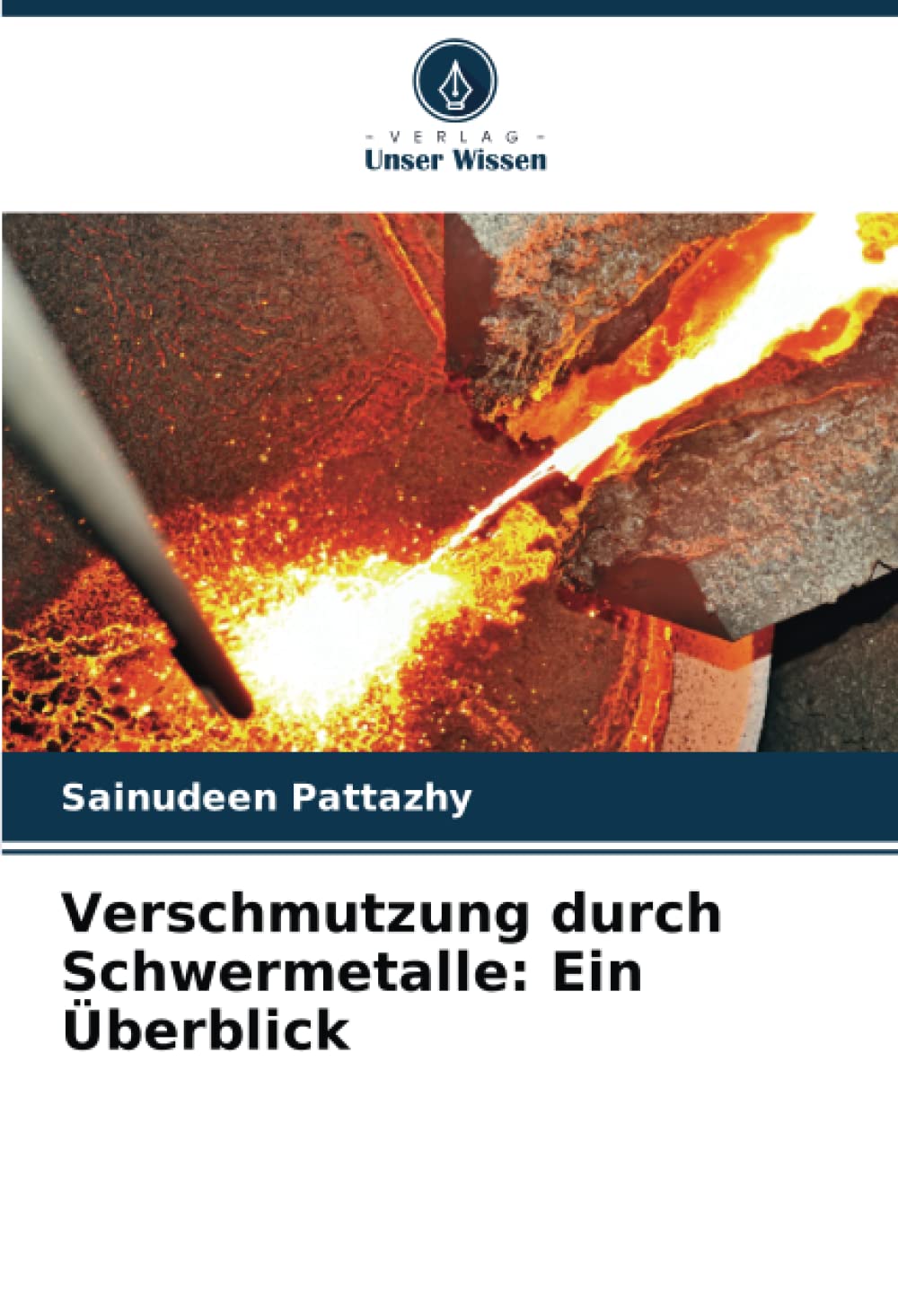 Verschmutzung durch Schwermetalle: Ein Überblick: DE Natural Sciences