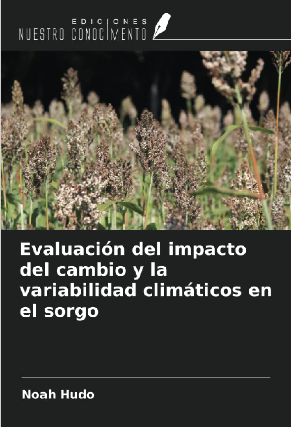 Evaluación del impacto del cambio y la variabilidad climáticos en el sorgo Natural Sciences