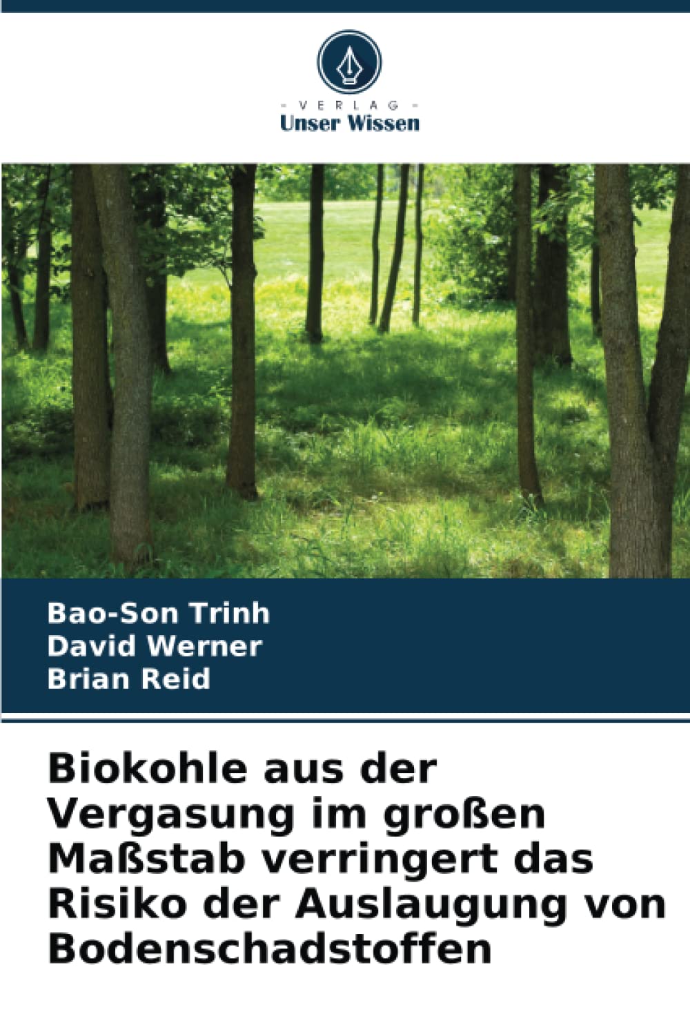 Biokohle aus der Vergasung im großen Maßstab verringert das Risiko der Auslaugung von Bodenschadstoffen Business & Technology