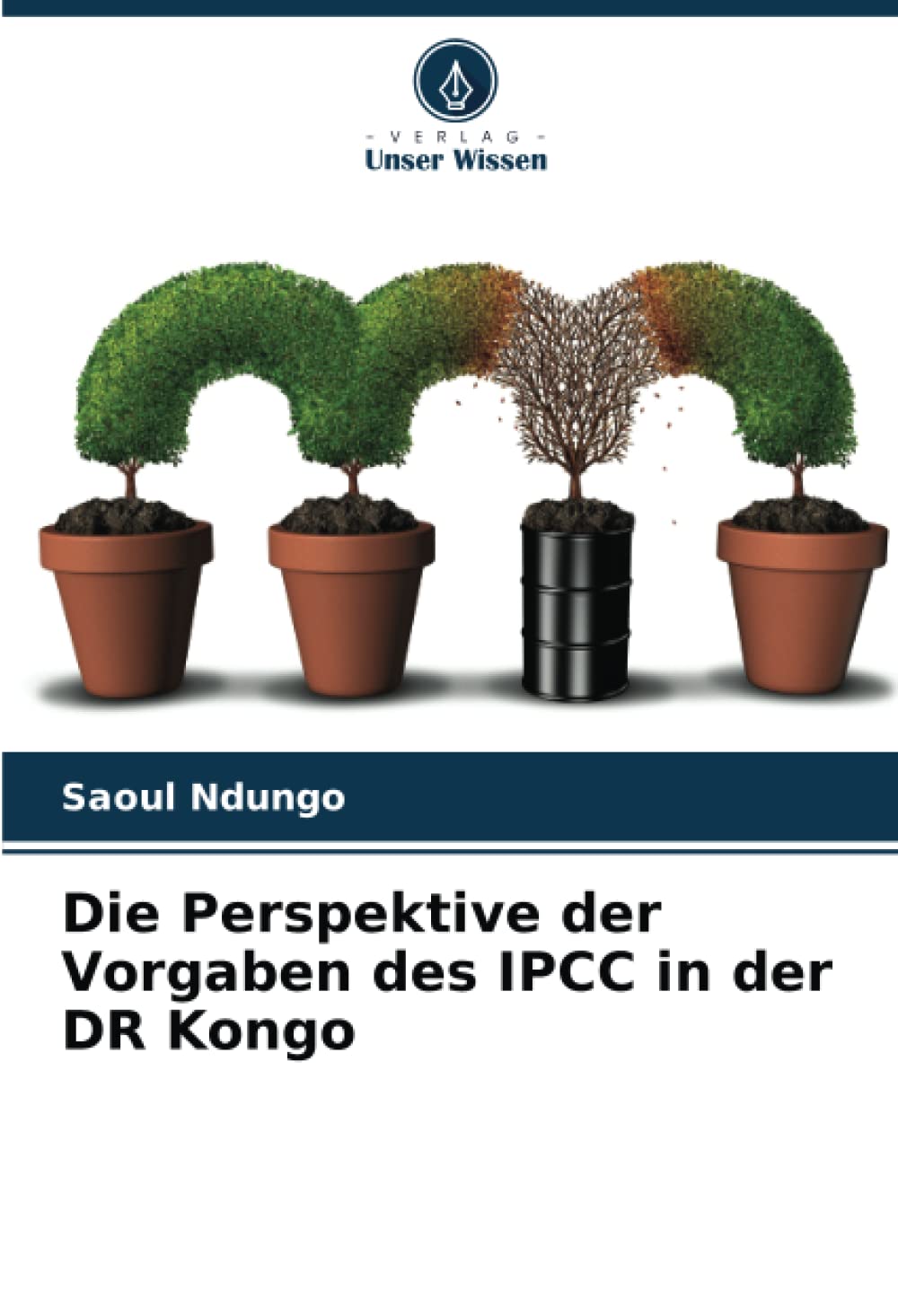 Die Perspektive der Vorgaben des IPCC in der DR Kongo Law