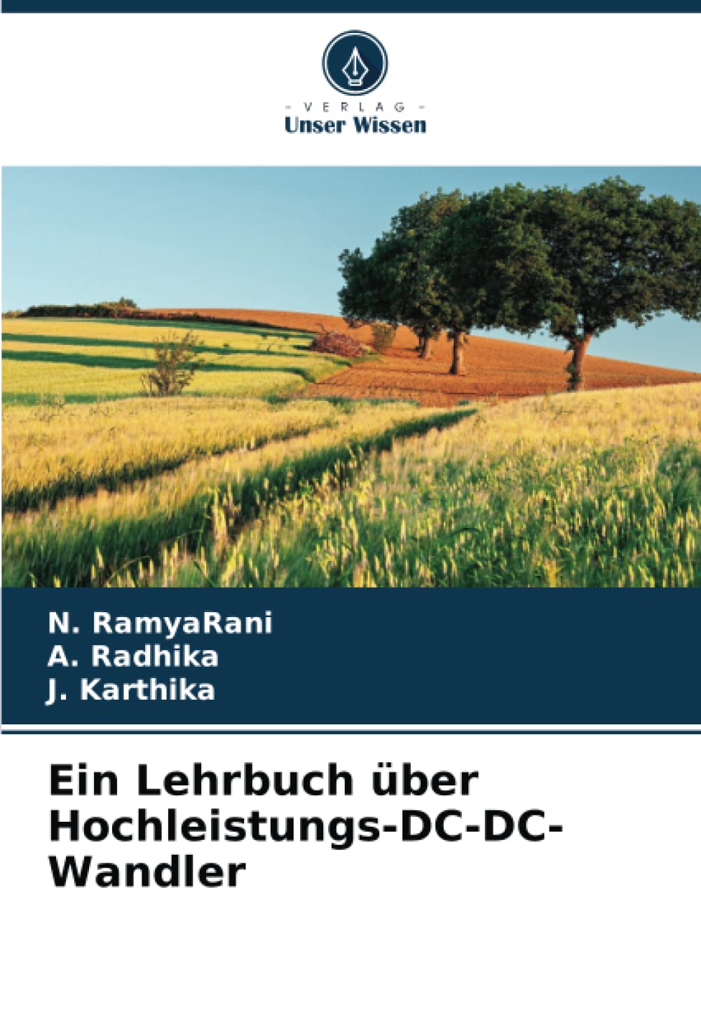 Ein Lehrbuch über Hochleistungs-DC-DC-Wandler: DE Business & Technology