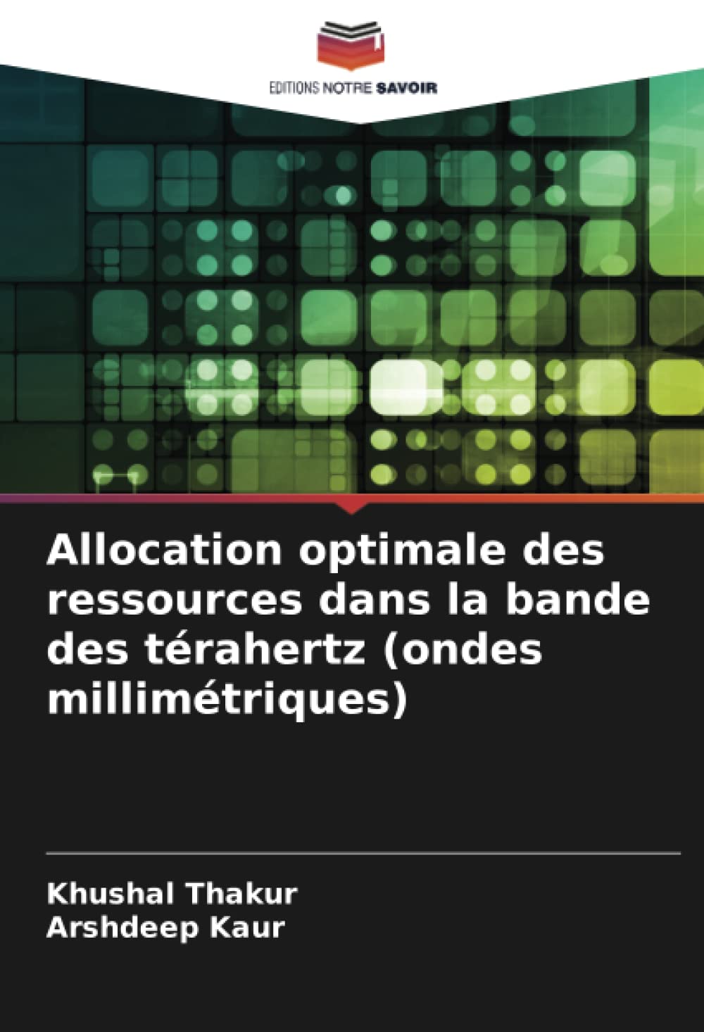 Allocation optimale des ressources dans la bande des térahertz (ondes millimétriques) book