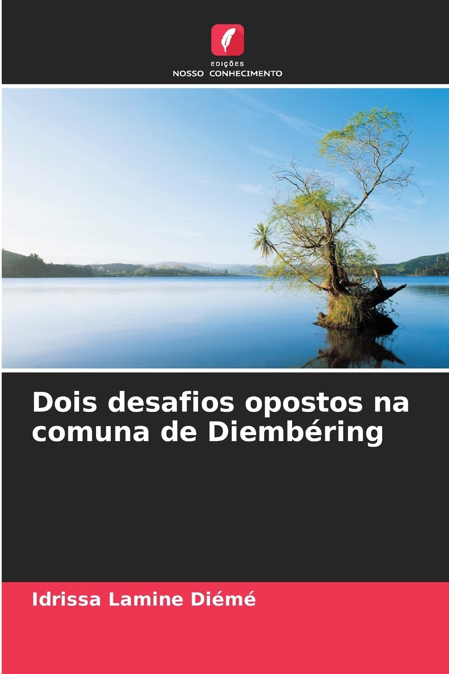 Dois desafios opostos na comuna de Diembéring Computer Science