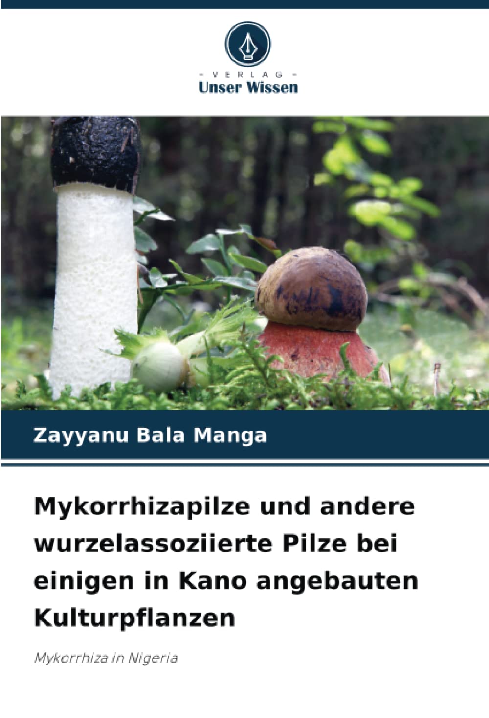 Mykorrhizapilze und andere wurzelassoziierte Pilze bei einigen in Kano angebauten Kulturpflanzen: Mykorrhiza in Nigeria Natural Sciences