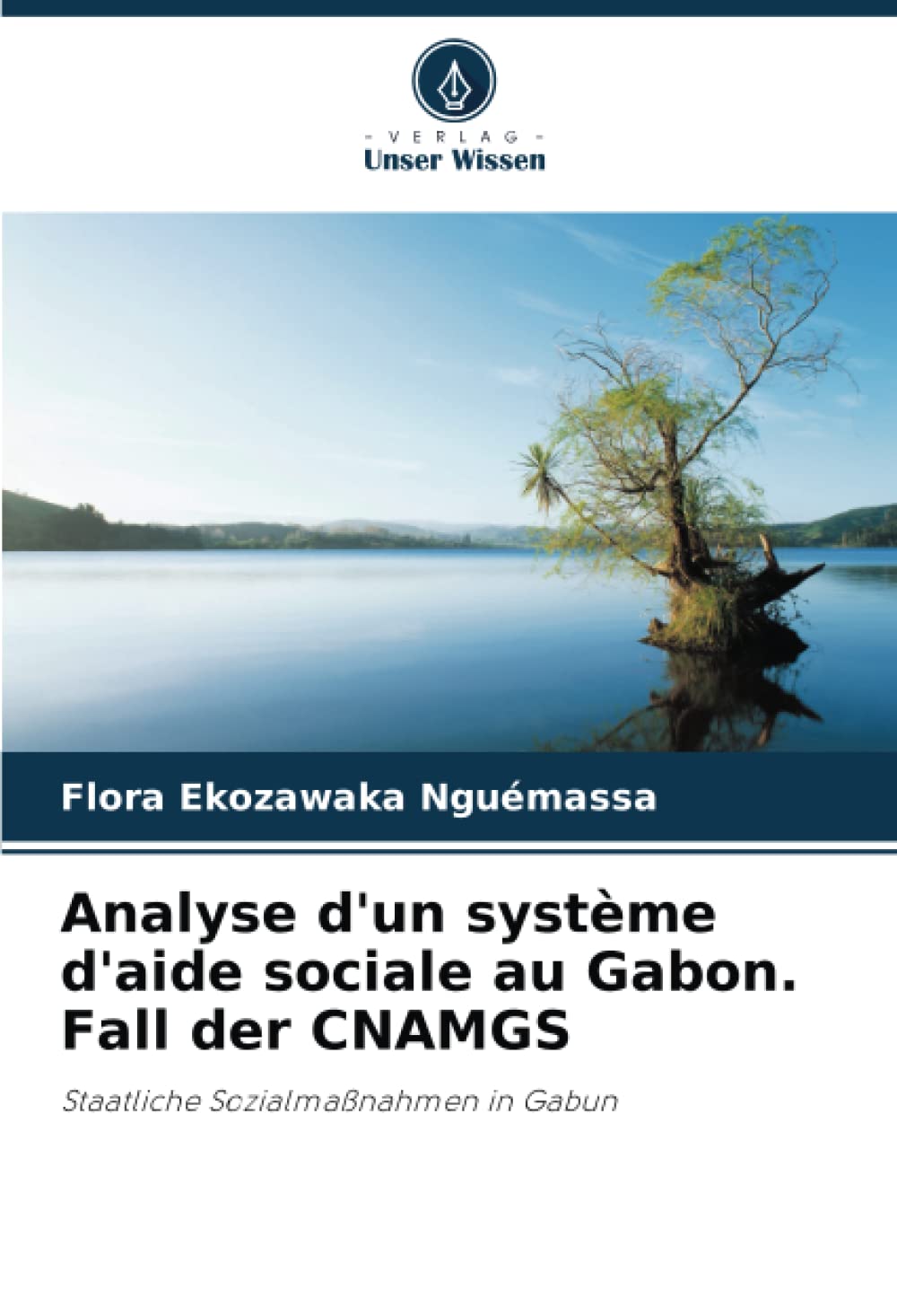 Analyse d'un système d'aide sociale au Gabon. Fall der CNAMGS: Staatliche Sozialmaßnahmen in Gabun Books