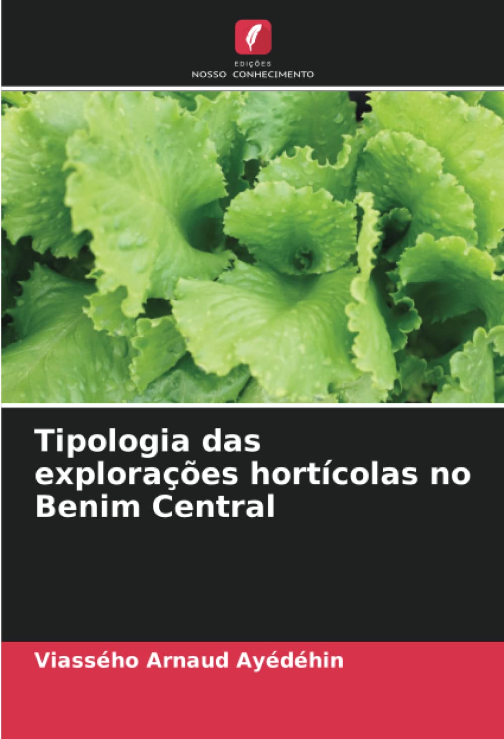 Tipologia das explorações hortícolas no Benim Central: DE Natural Sciences
