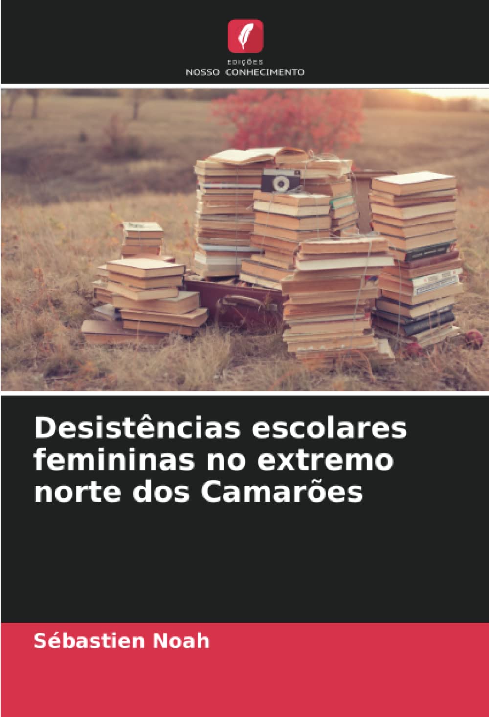 Desistências escolares femininas no extremo norte dos Camarões book