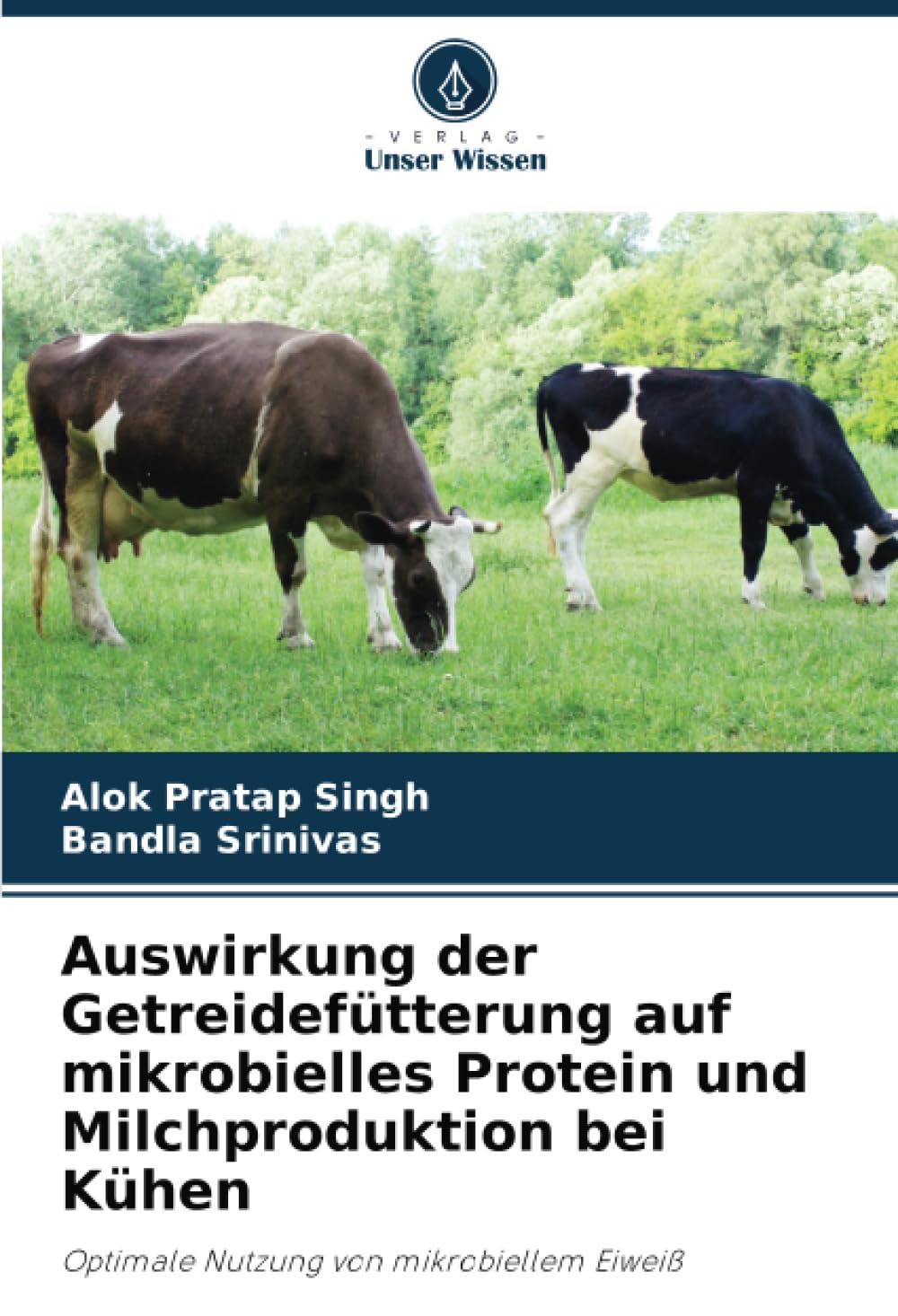Auswirkung der Getreidefütterung auf mikrobielles Protein und Milchproduktion bei Kühen: Optimale Nutzung von mikrobiellem Eiweiß Natural Sciences