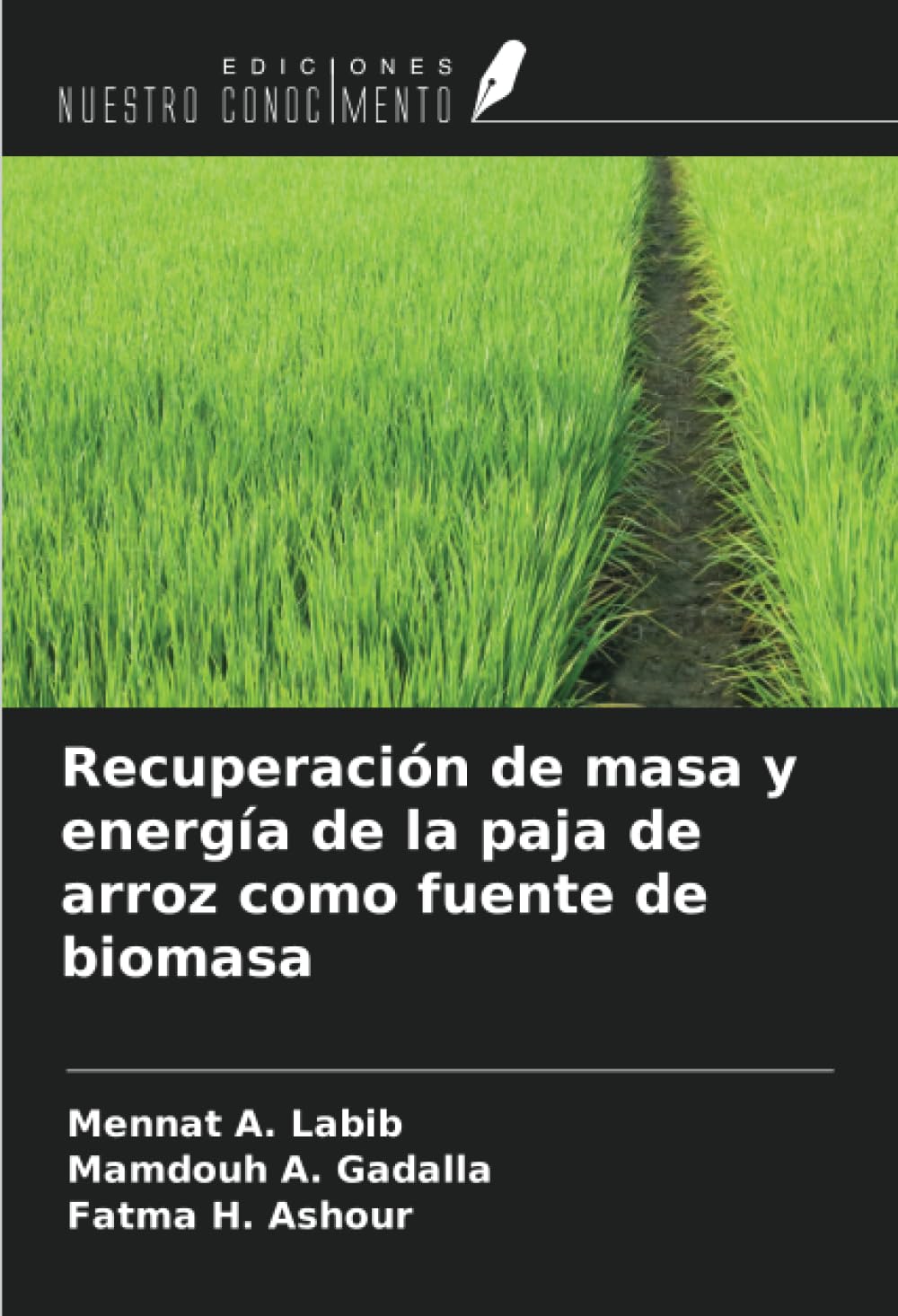 Recuperación de masa y energía de la paja de arroz como fuente de biomasa Business & Technology
