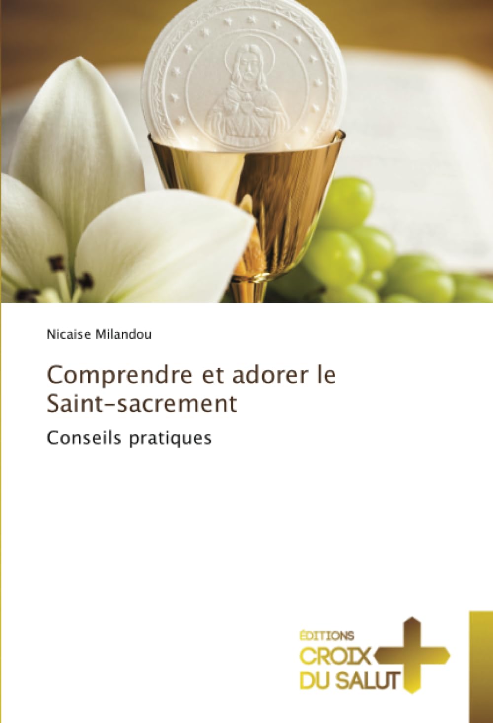 Comprendre et adorer le Saint-sacrement: Conseils pratiques book