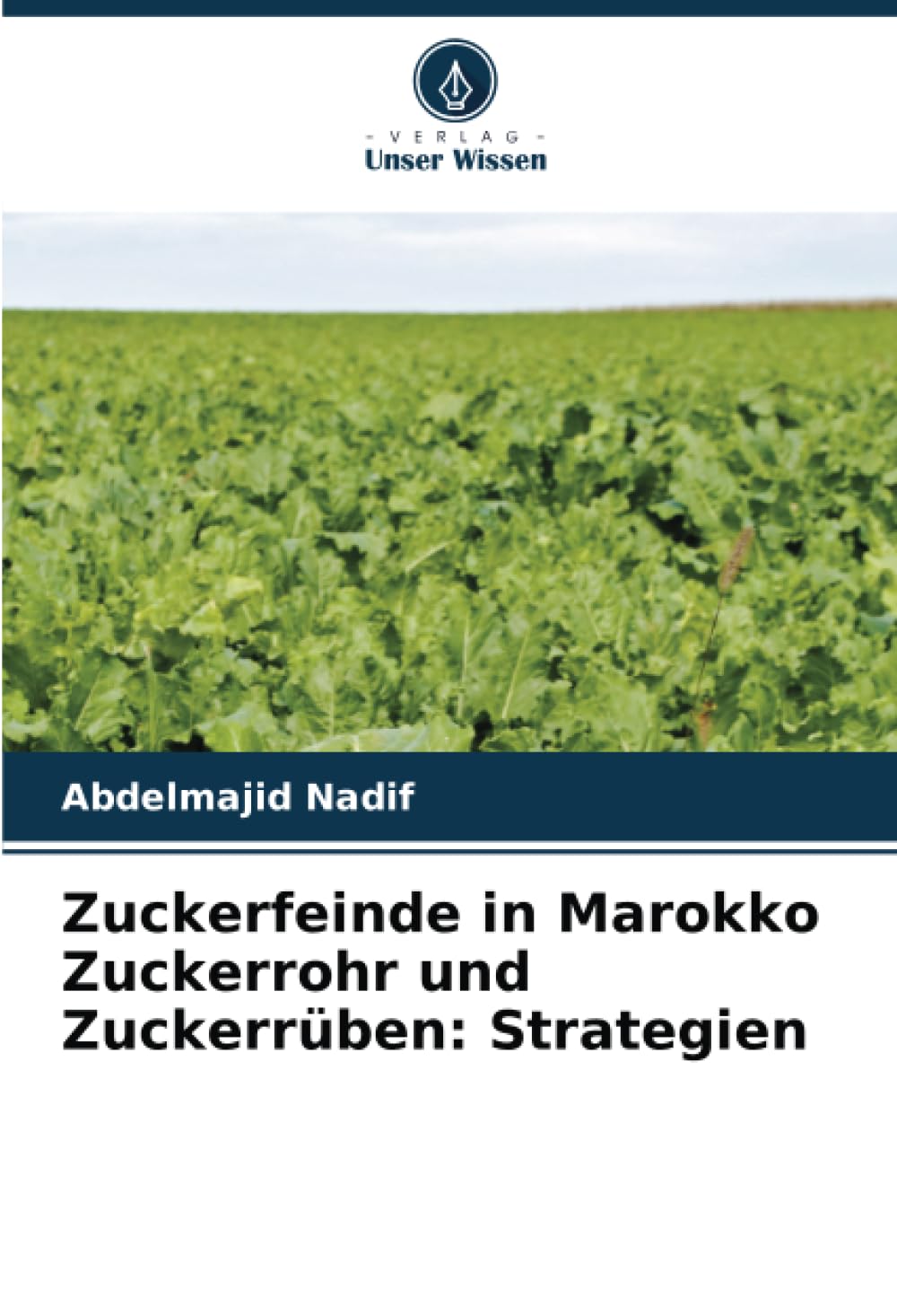 Zuckerfeinde in Marokko Zuckerrohr und Zuckerrüben: Strategien Natural Sciences