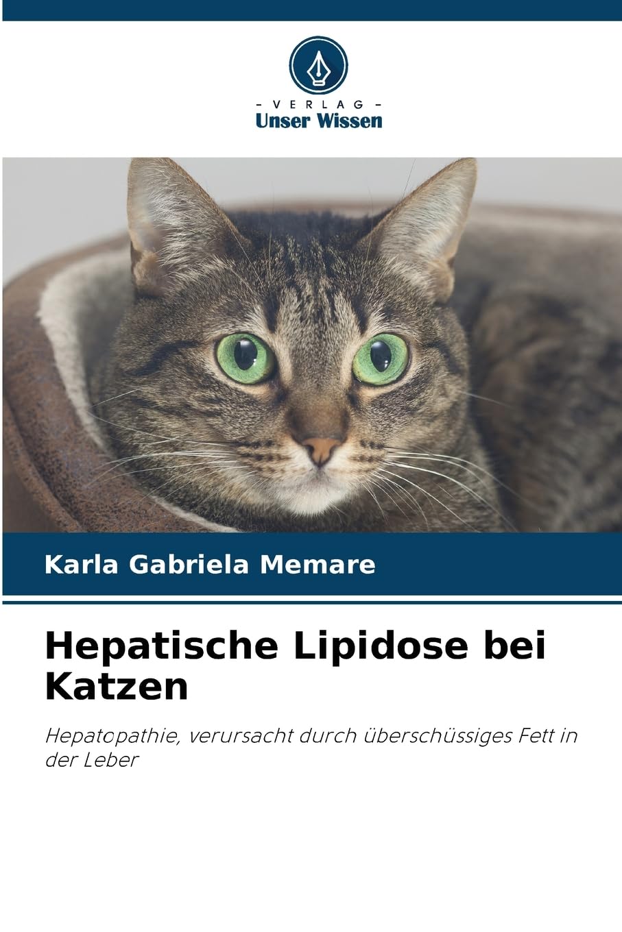 Hepatische Lipidose bei Katzen Medicine