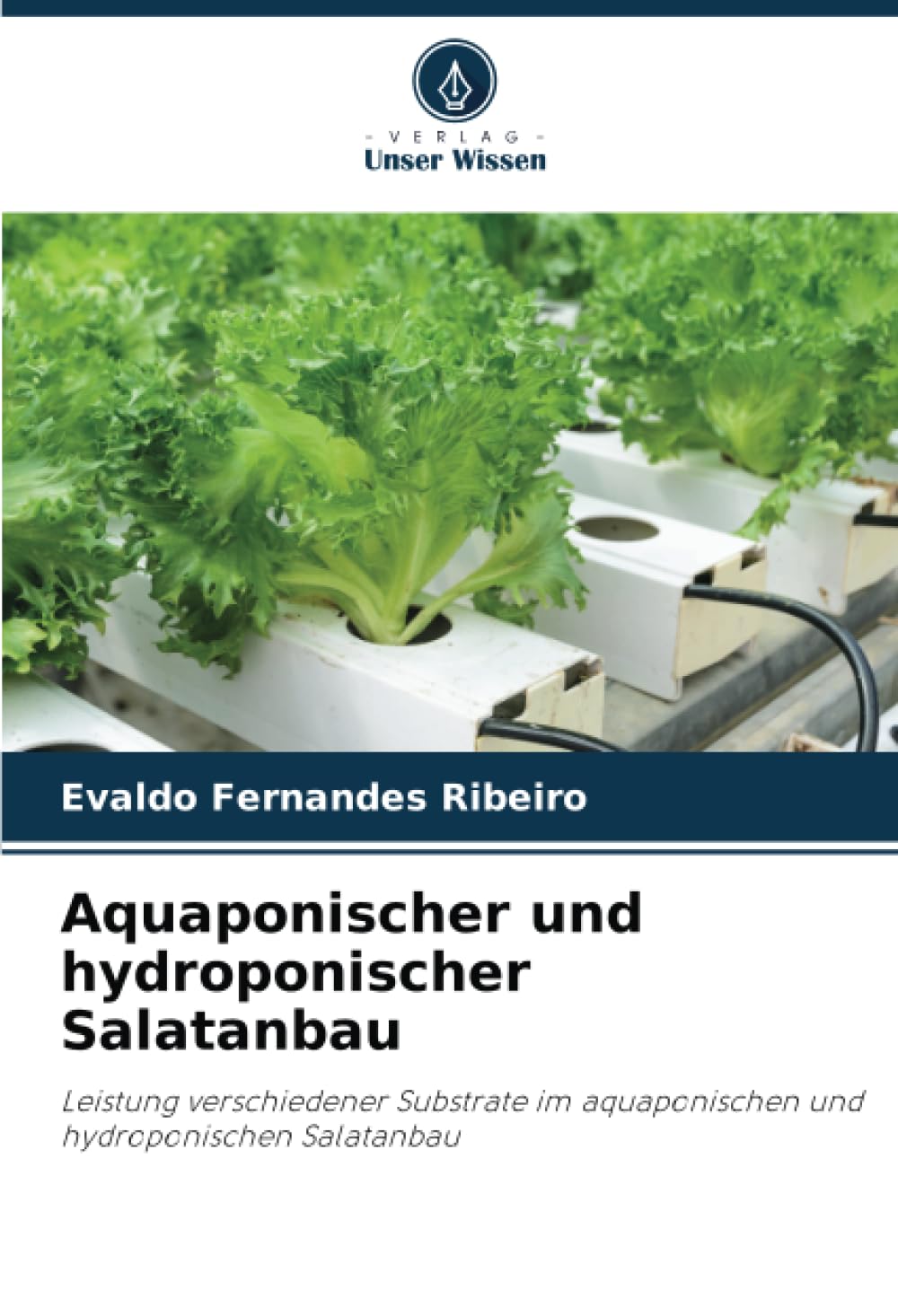 Aquaponischer und hydroponischer Salatanbau: Leistung verschiedener Substrate im aquaponischen und hydroponischen Salatanbau Media & Communication
