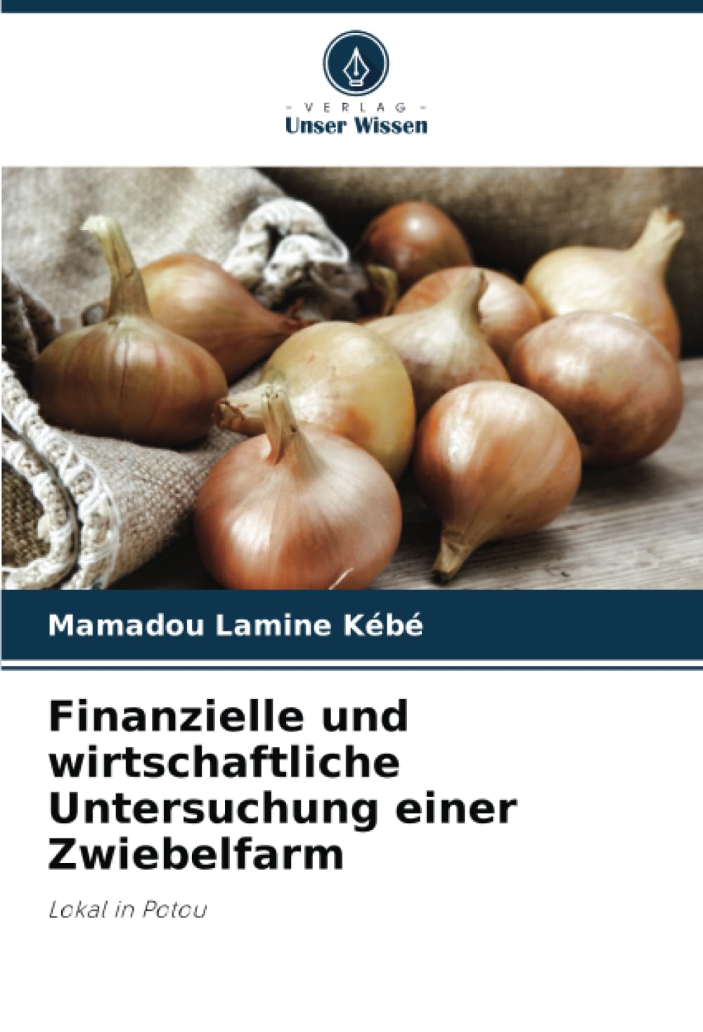 Finanzielle und wirtschaftliche Untersuchung einer Zwiebelfarm: Lokal in Potou Law