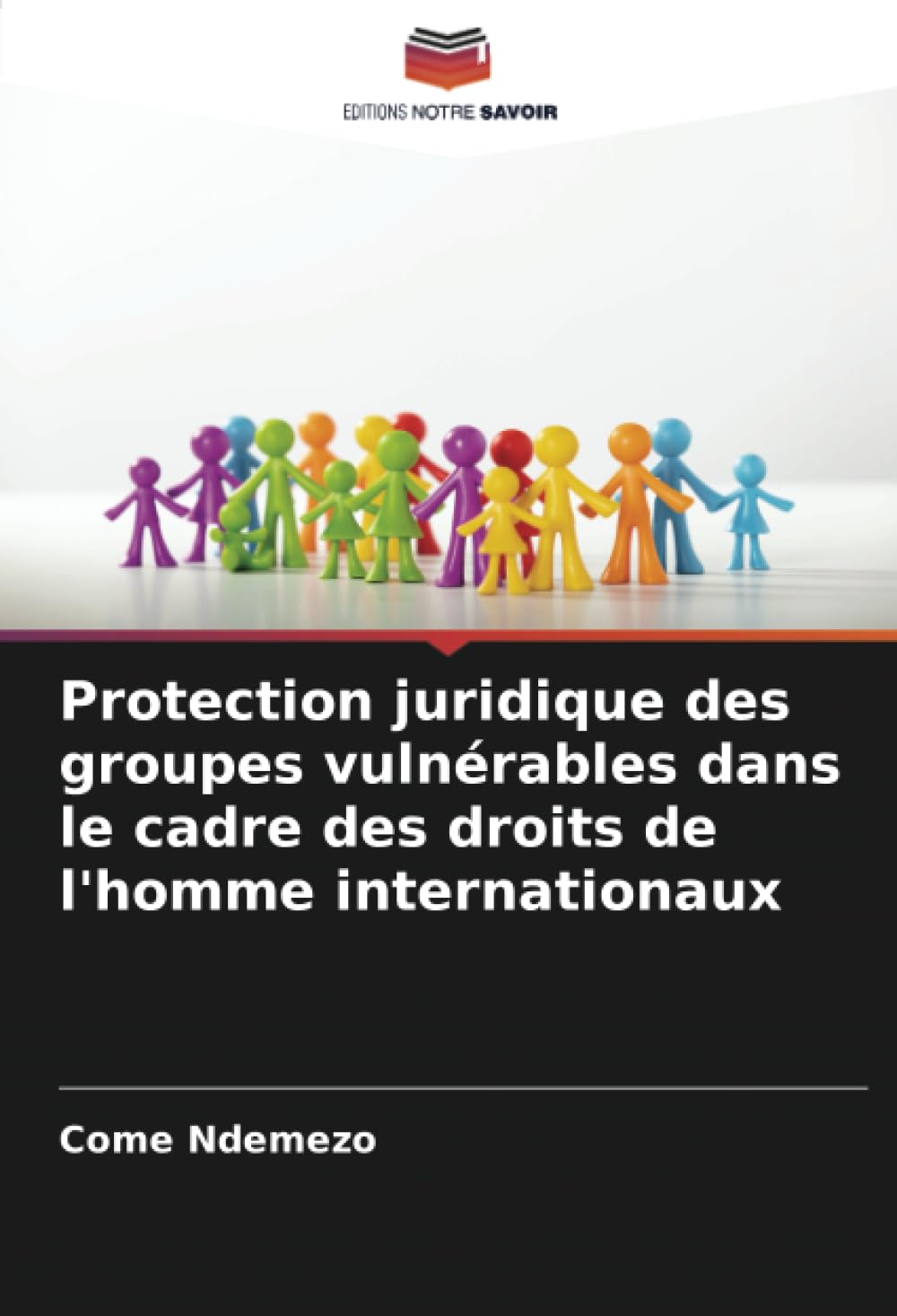 Protection juridique des groupes vulnérables dans le cadre des droits de l'homme internationaux Law
