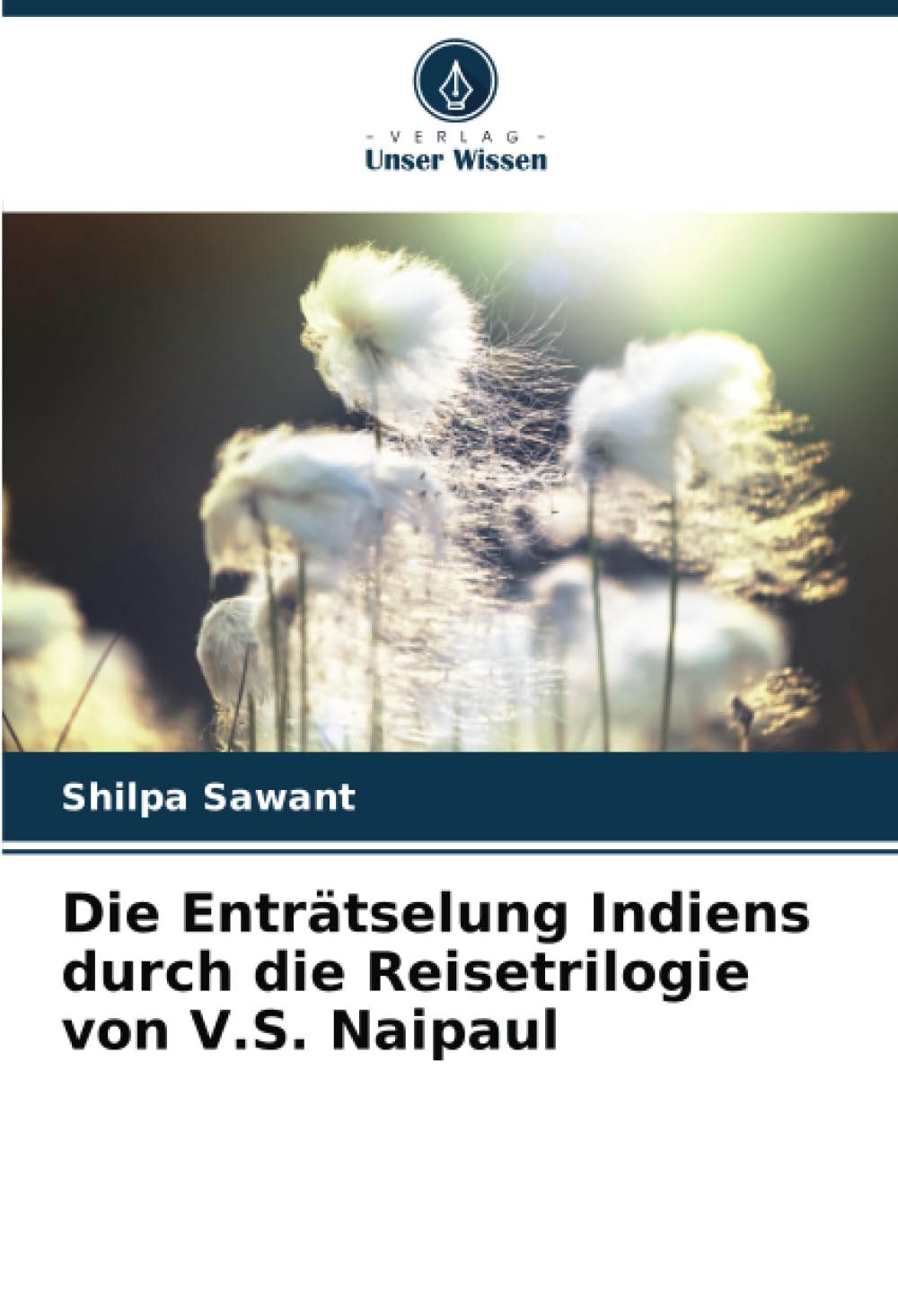 Die Enträtselung Indiens durch die Reisetrilogie von V.S. Naipaul: DE Books