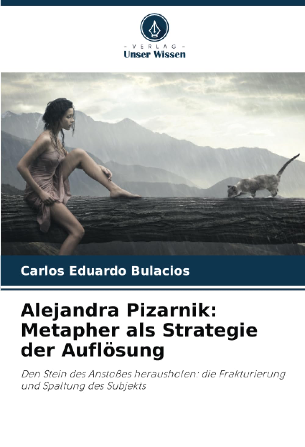 Alejandra Pizarnik: Metapher als Strategie der Auflösung: Den Stein des Anstoßes herausholen: die Frakturierung und Spaltung des Subjekts Books