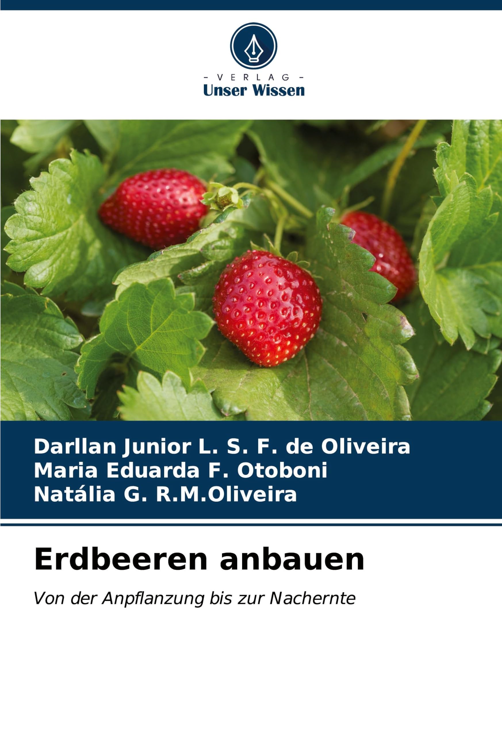 Erdbeeren anbauen Media & Communication