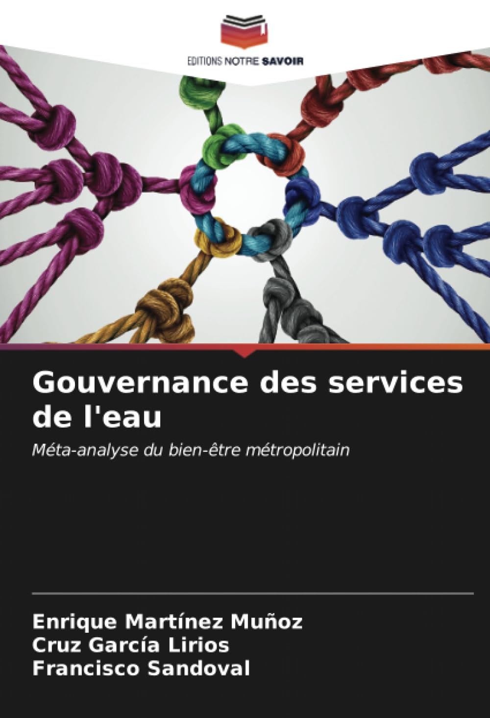 Gouvernance des services de l'eau: Méta-analyse du bien-être métropolitain Law