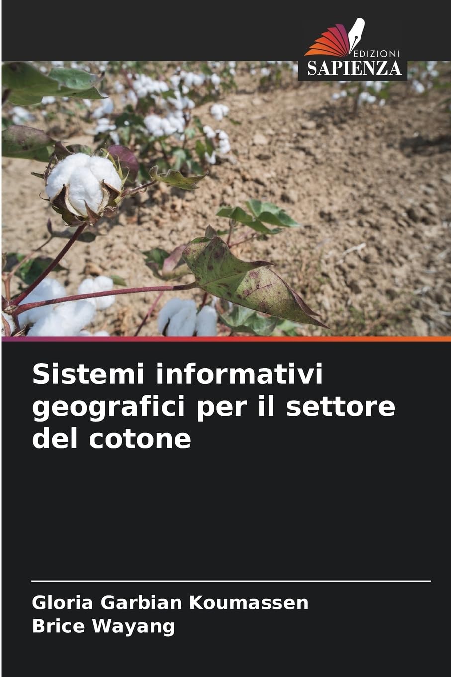 Sistemi informativi geografici per il settore del cotone Geology & Geography