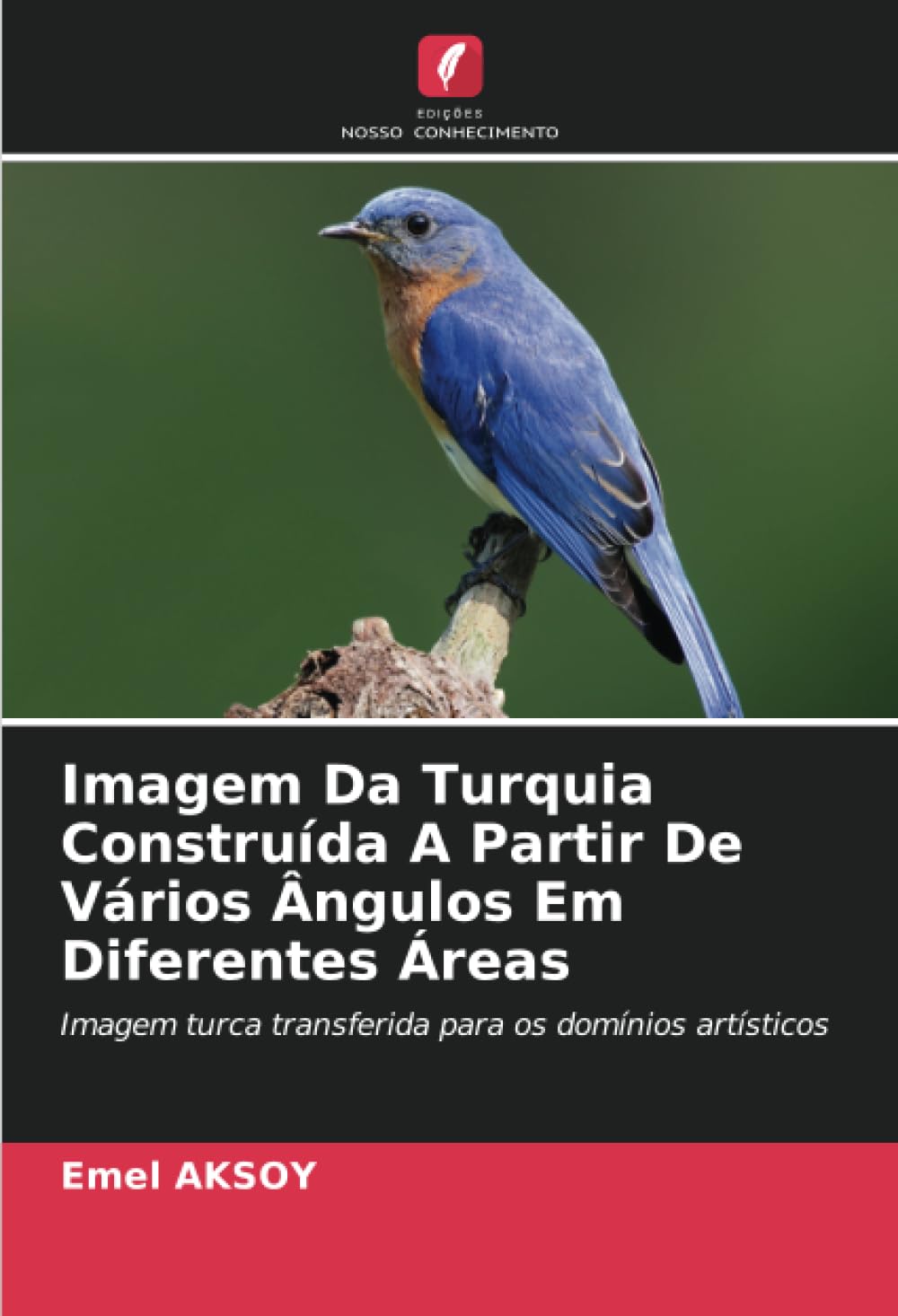 Imagem Da Turquia Construída A Partir De Vários Ângulos Em Diferentes Áreas Law