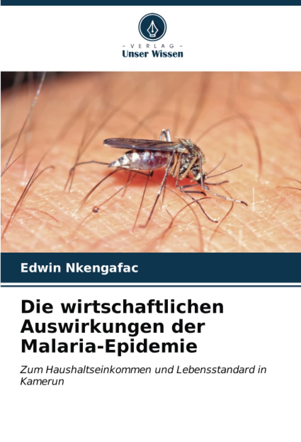 Die wirtschaftlichen Auswirkungen der Malaria-Epidemie: Zum Haushaltseinkommen und Lebensstandard in Kamerun Media & Communication