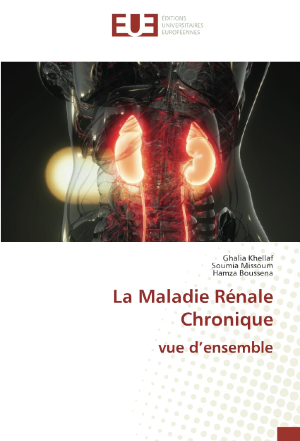La Maladie Rénale Chronique vue d’ensemble book