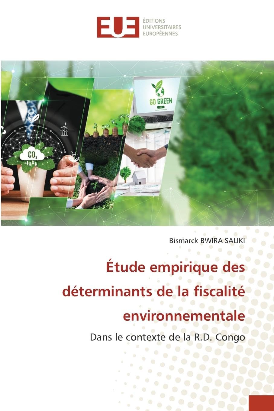 Étude empirique des déterminants de la fiscalité environnementale: Dans le contexte de la R.D. Congo book