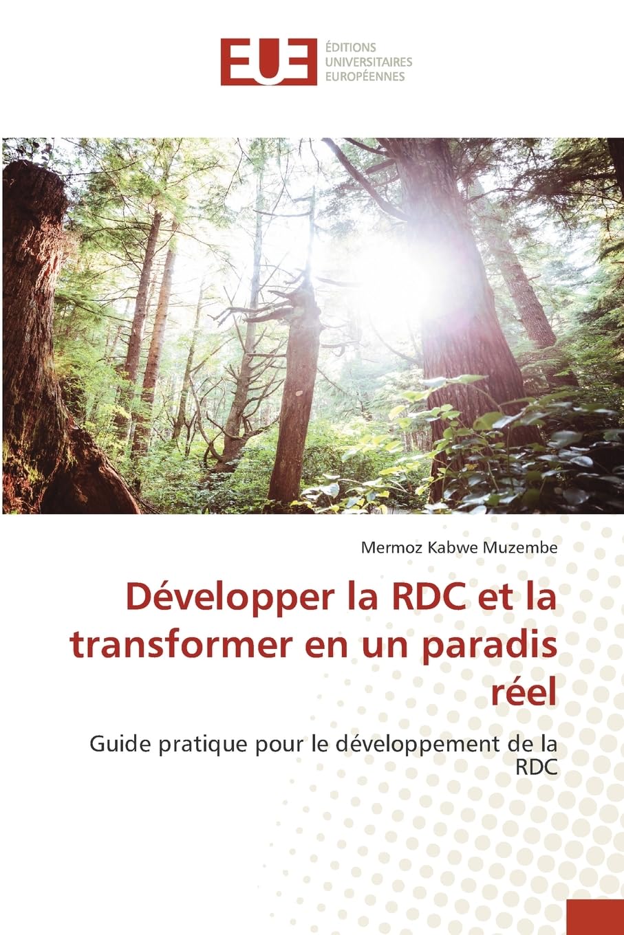 Développer la RDC et la transformer en un paradis réel: Guide pratique pour le développement de la RDC Law