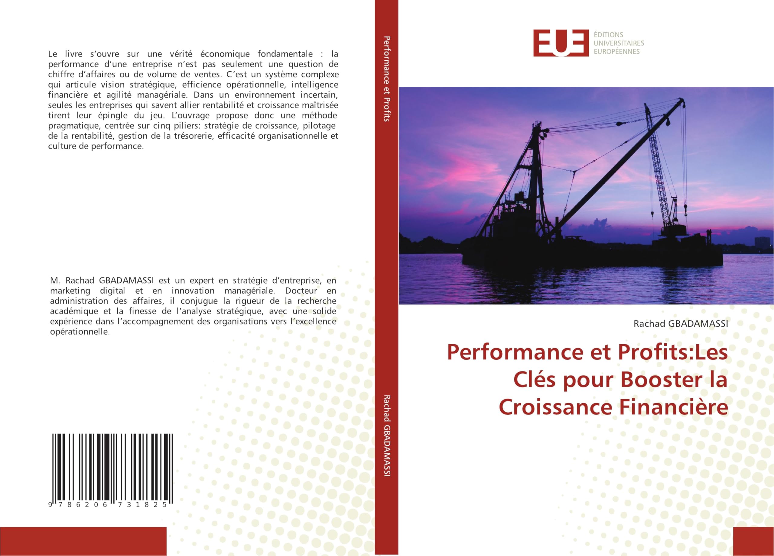 Performance et Profits:Les Clés pour Booster la Croissance Financière: DE Law