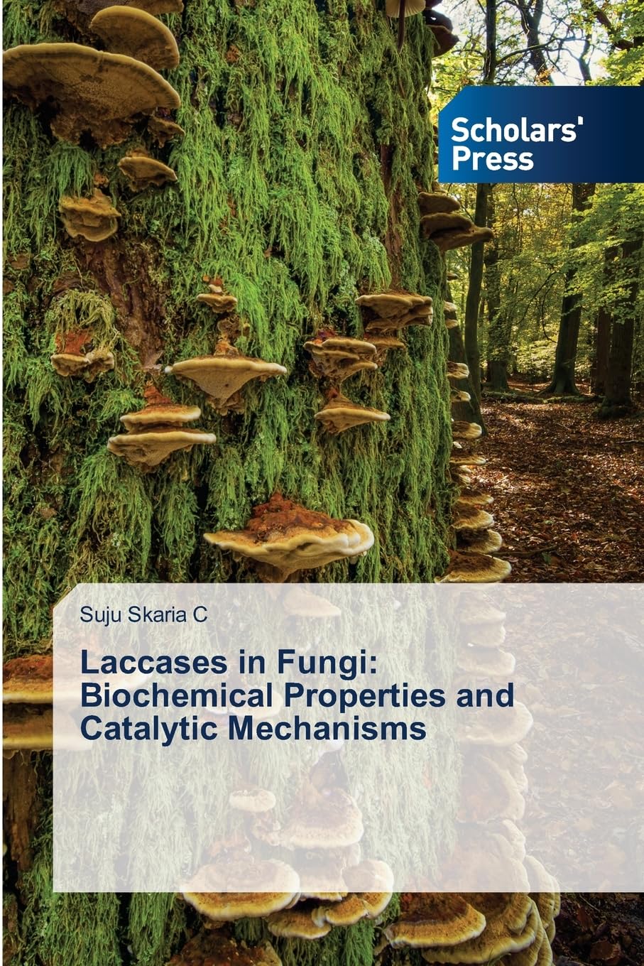 Laccases in Fungi: Biochemical Properties and Catalytic Mechanisms Natural Sciences
