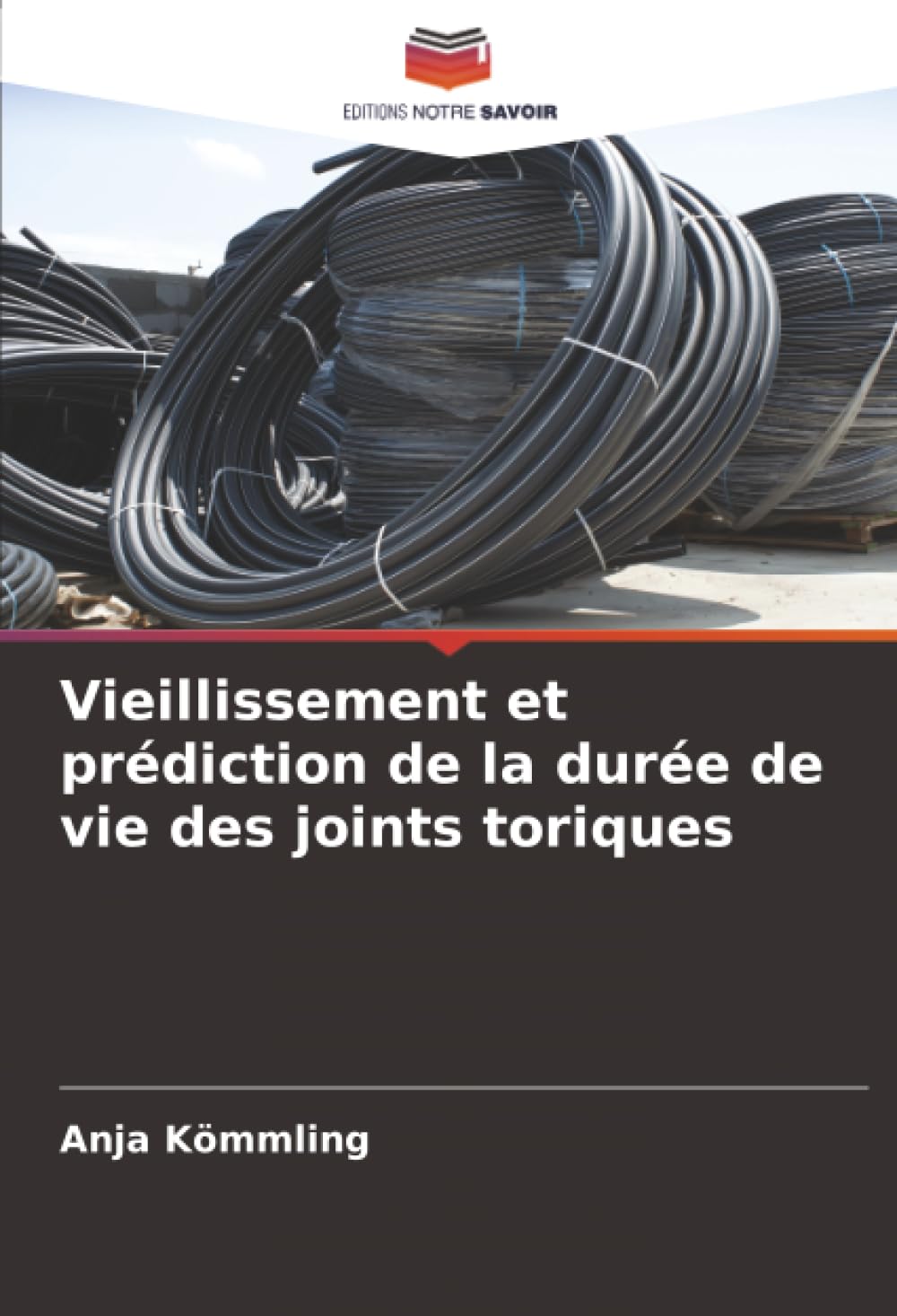 Vieillissement et prédiction de la durée de vie des joints toriques Business & Technology