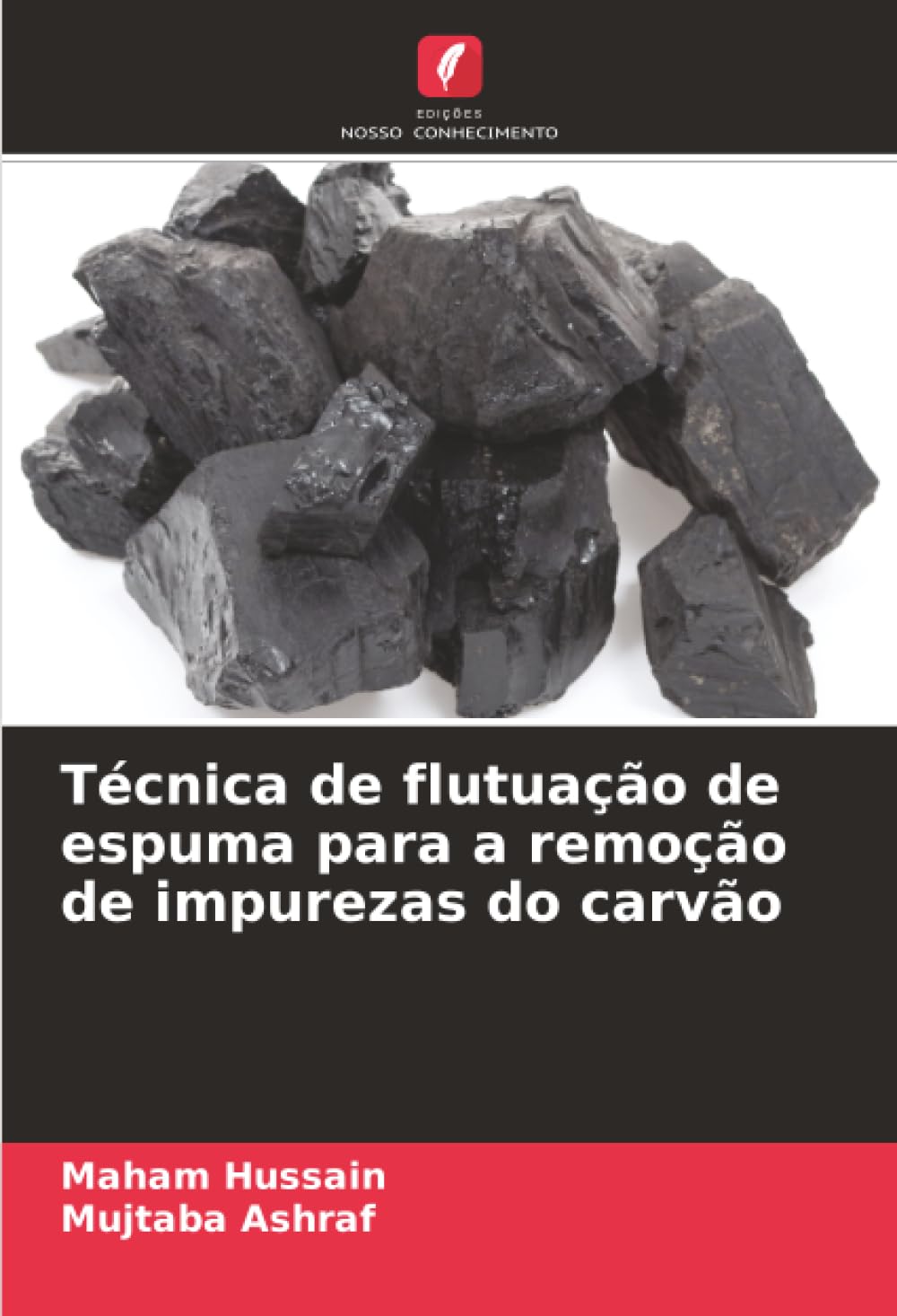Técnica de flutuação de espuma para a remoção de impurezas do carvão Business & Technology