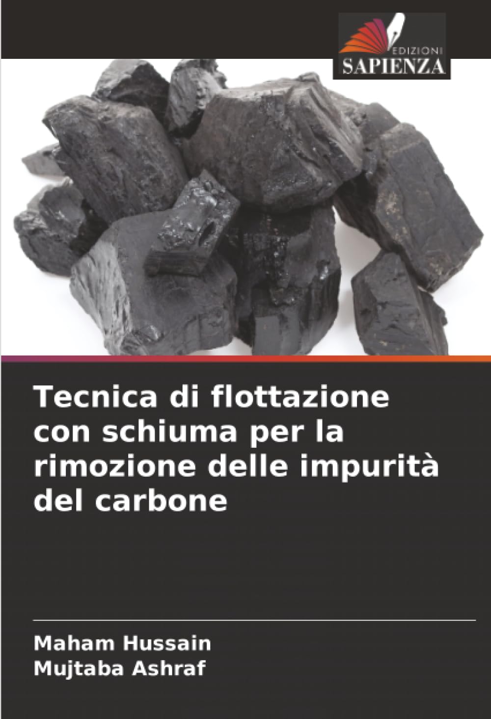 Tecnica di flottazione con schiuma per la rimozione delle impurità del carbone Business & Technology