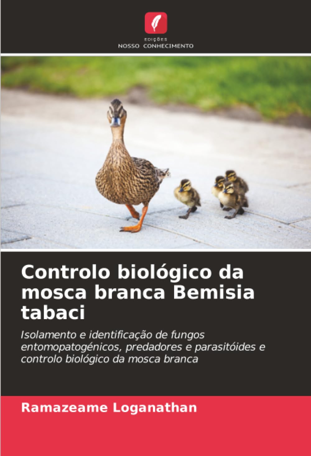 Controlo biológico da mosca branca Bemisia tabaci Natural Sciences