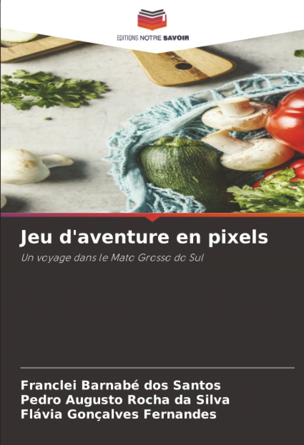 Jeu d'aventure en pixels: Un voyage dans le Mato Grosso do Sul Computer Science