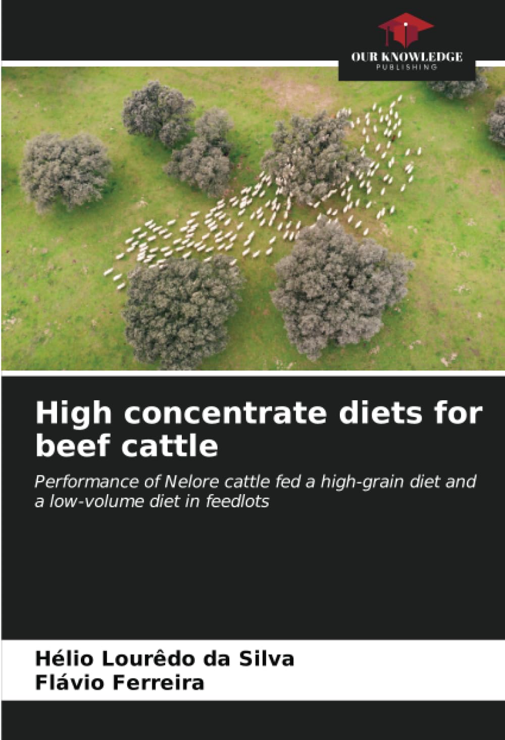 High concentrate diets for beef cattle: Performance of Nelore cattle fed a high-grain diet and a low-volume diet in feedlots Media & Communication