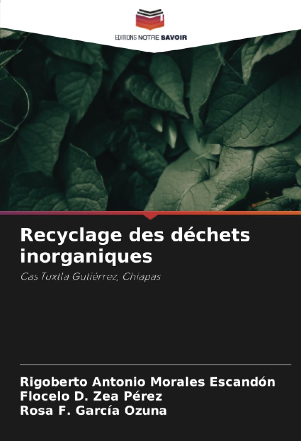 Recyclage des déchets inorganiques: Cas Tuxtla Gutiérrez, Chiapas Mathematics