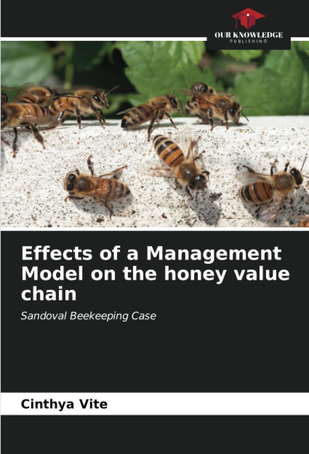 Effects of a Management Model on the honey value chain: Sandoval Beekeeping Case book