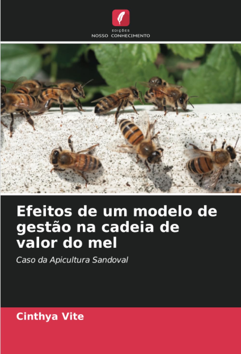 Efeitos de um modelo de gestão na cadeia de valor do mel: Caso da Apicultura Sandoval book