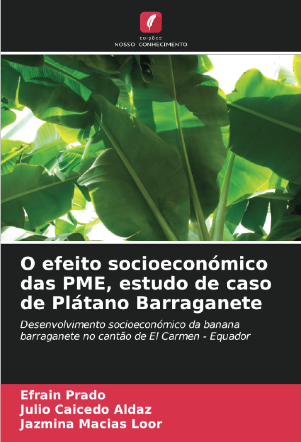 O efeito socioeconómico das PME, estudo de caso de Plátano Barraganete Law