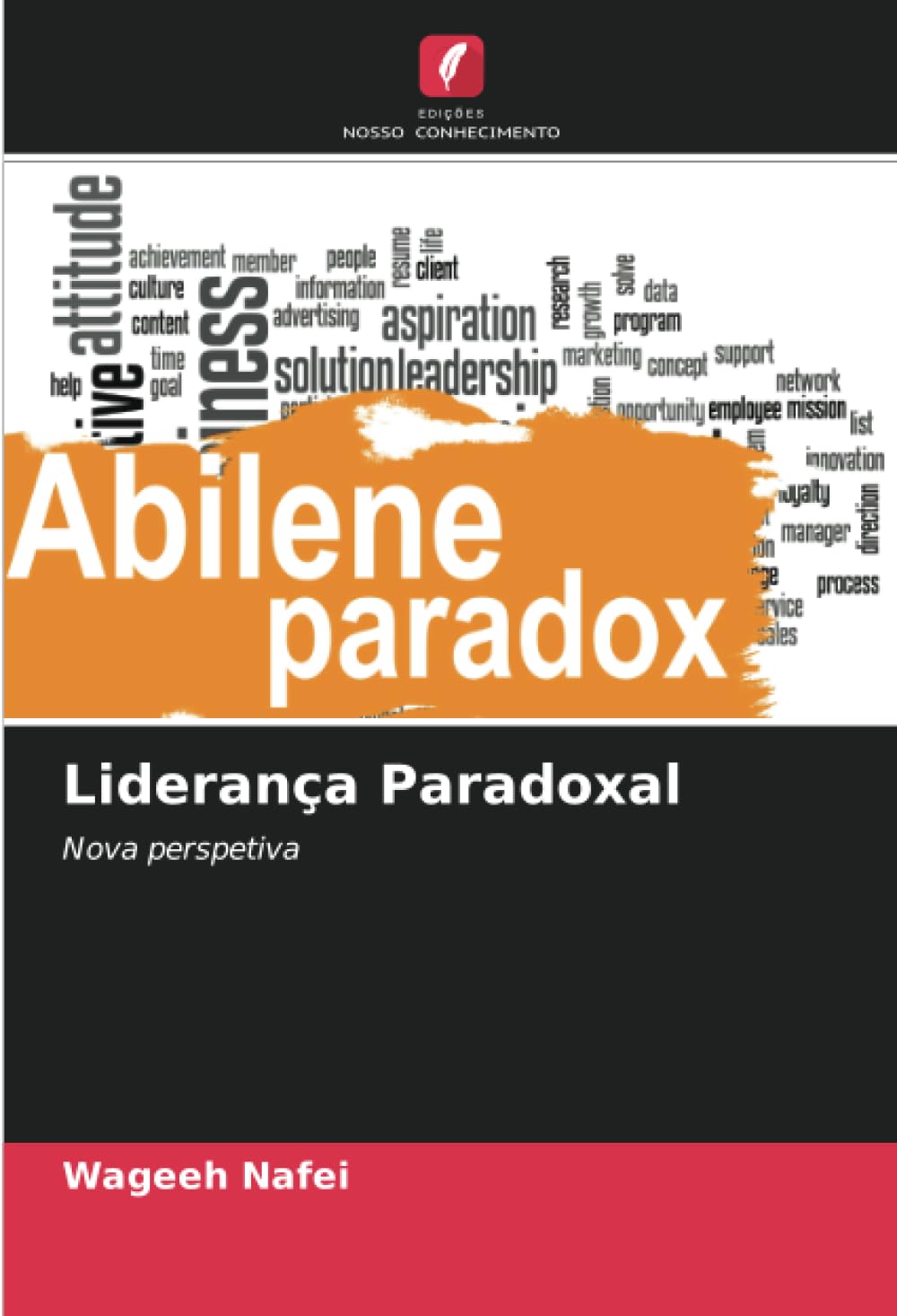 Liderança Paradoxal: Nova perspetiva book
